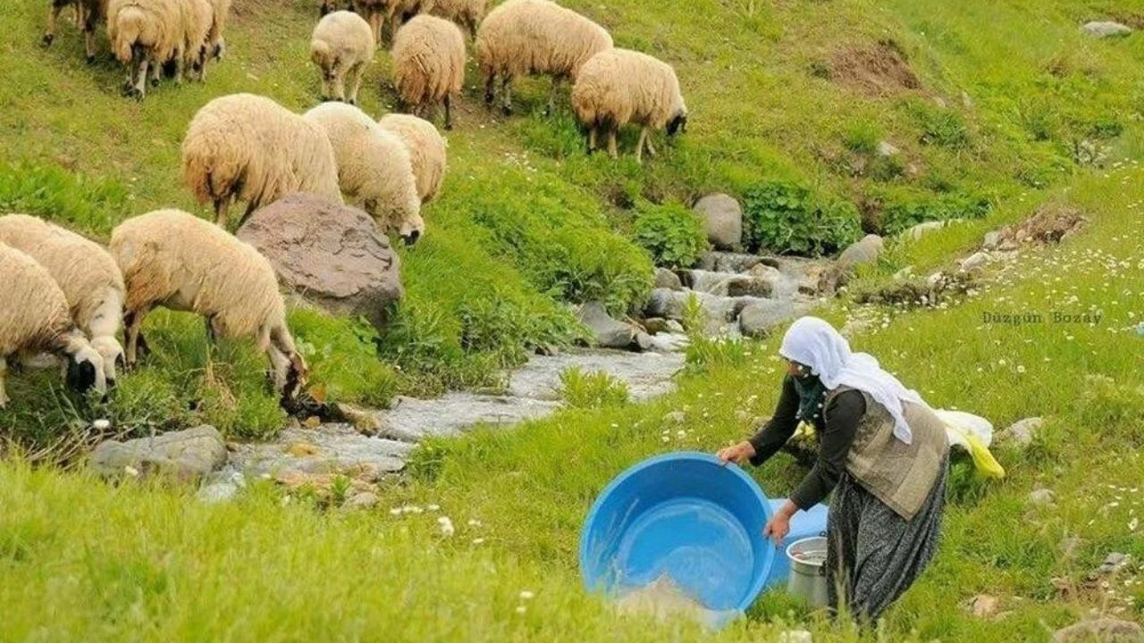 Maaşı 100 bin TL olan o meslekte çalışacak eleman bulunamıyor! - Sayfa 2