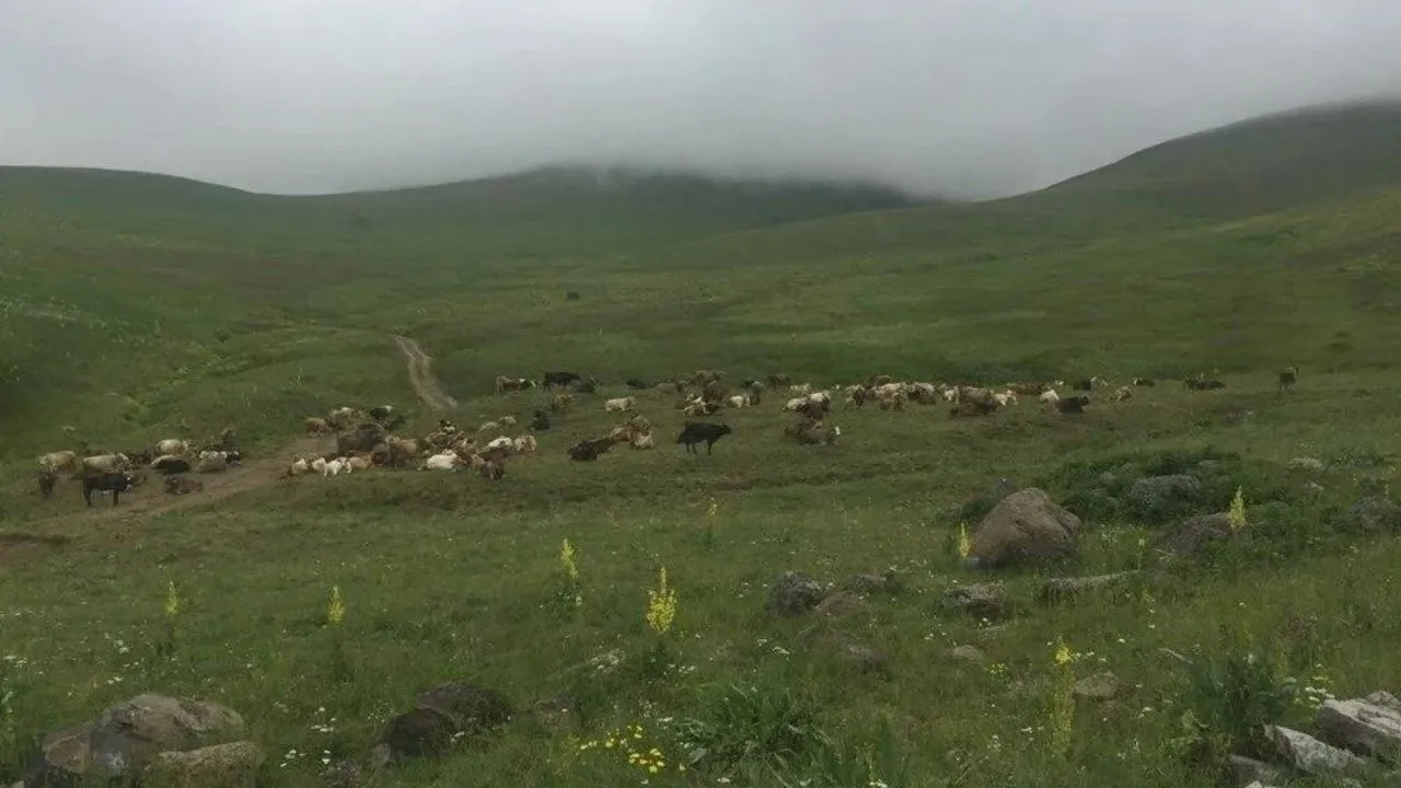 Maaşı 100 bin TL olan o meslekte çalışacak eleman bulunamıyor!