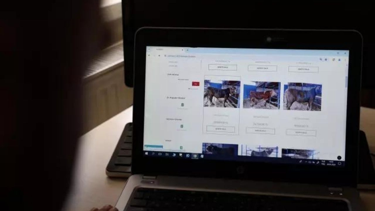 Türkiye'de bir ilk: Dijital kurban pazarı kuruldu! - Sayfa 12