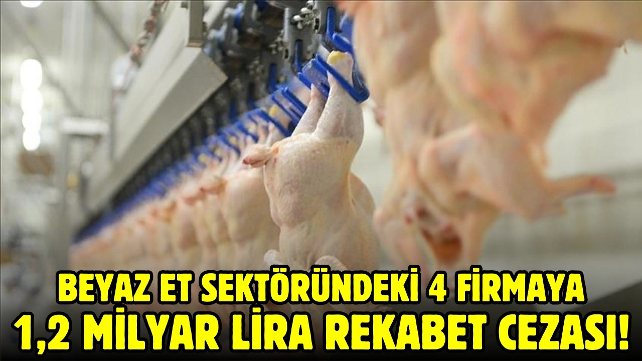 4 firmaya 1,2 milyar lira rekabet cezası!