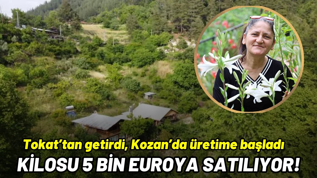 Lilyum çiçeğinin kilosu 5 bin Euroya satılıyor!