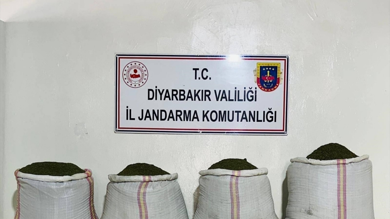 Diyarbakır'da 34 bin 500 kök kenevir ele geçirildi
