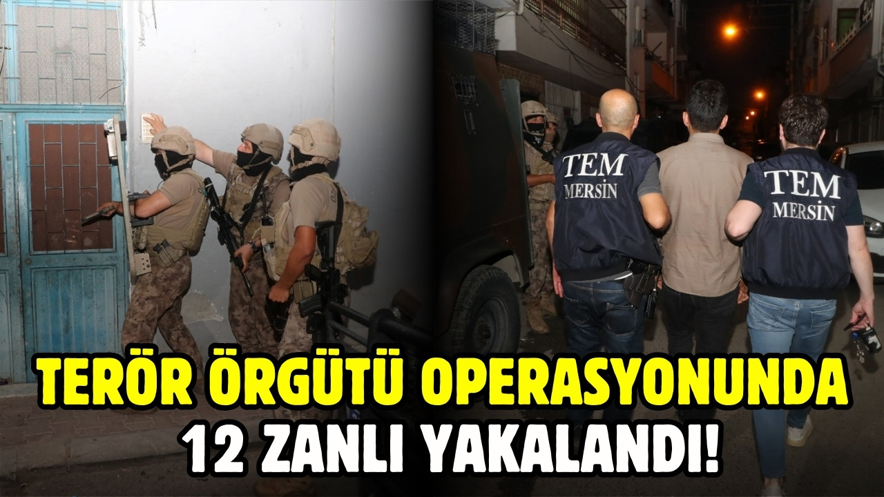 Terör örgütü operasyonunda 12 zanlı yakalandı!