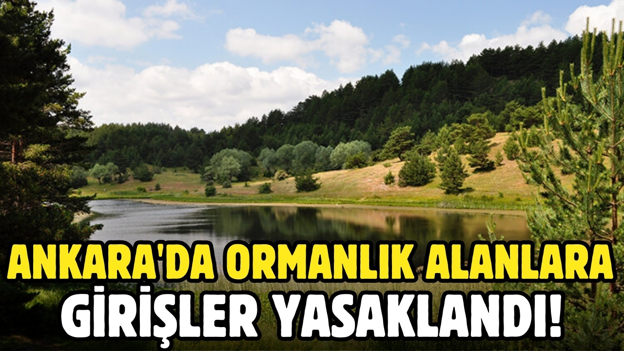 Ankara'da ormanlık alanlara girişler yasaklandı!