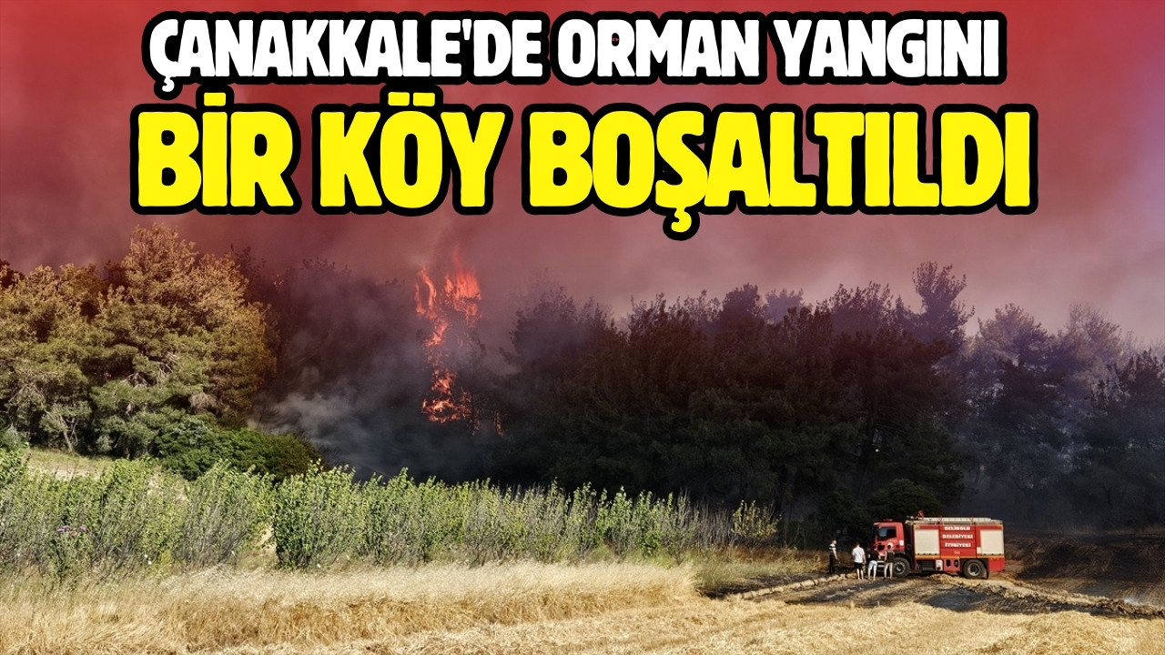 Çanakkale'de orman yangını: Bir köy boşaltıldı