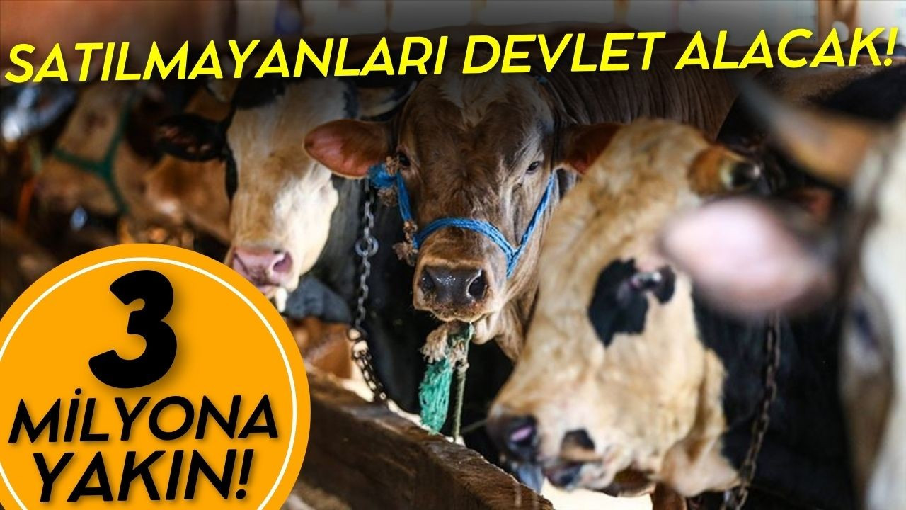 Bayramda 3 milyona yakın kurbanlık satıldı!