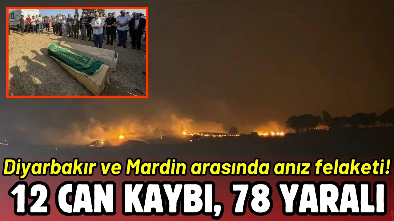 Diyarbakır ve Mardin'deki anız yangını söndürüldü!