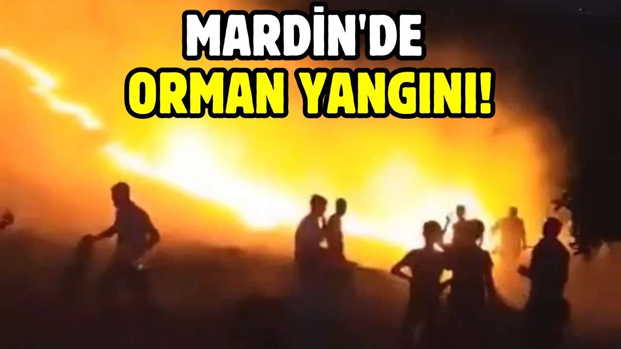 Mardin'de orman yangını!