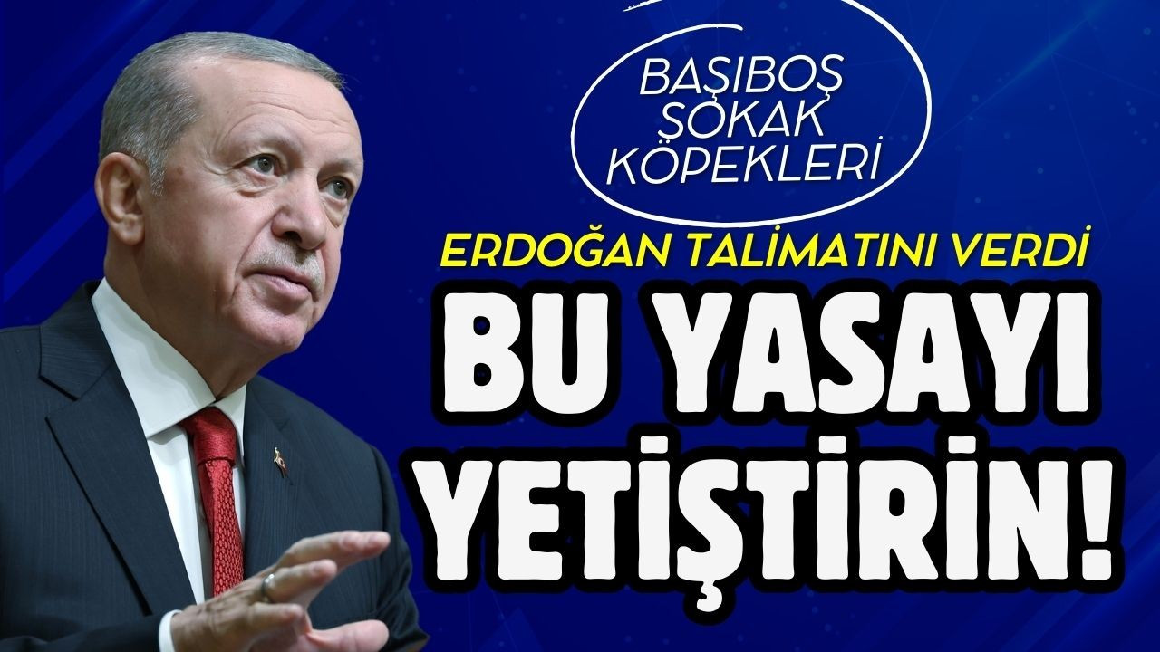 Erdoğan talimatını verdi: "Meclis kapanmadan bu sorunu çözün"