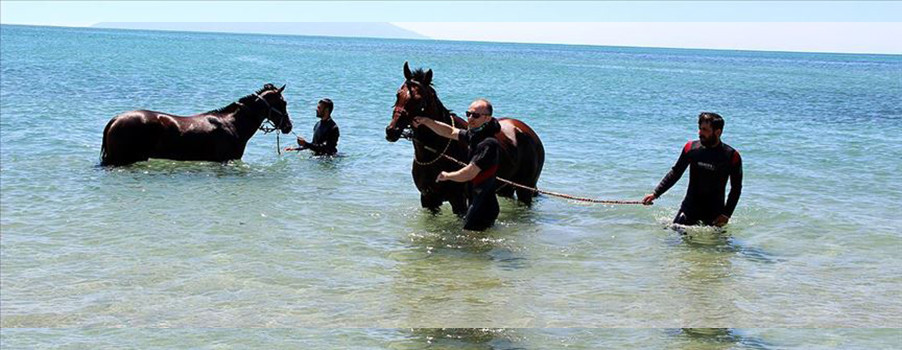 Şampiyon atlar denizde form tutuyor